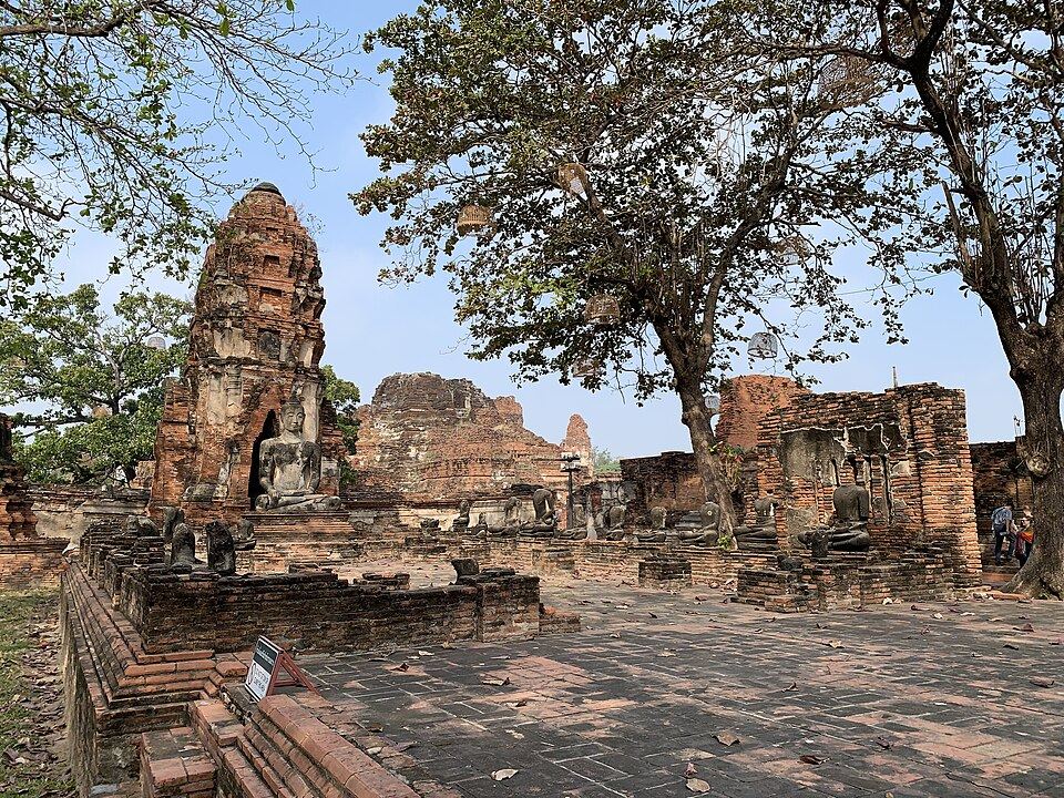Wat Mahathat (Buddhakopf im Baum)